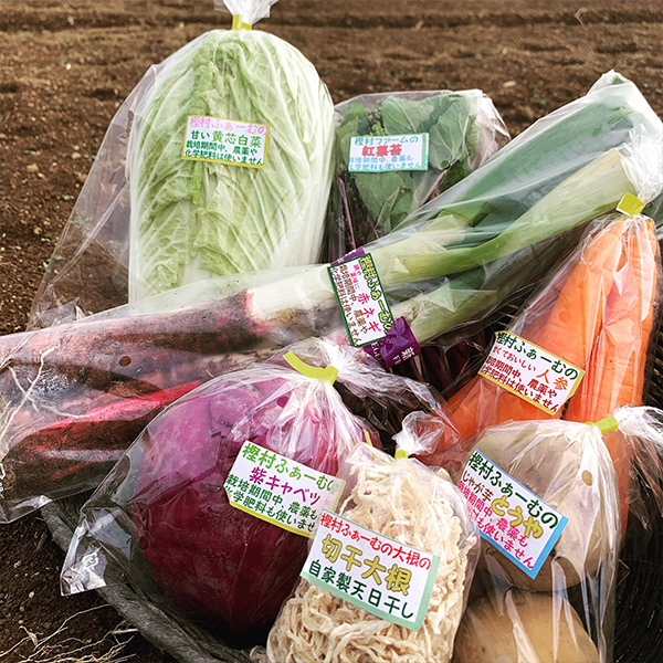 樫村ふぁーむの旬の野菜お任せBOX　M（約5kg以内）